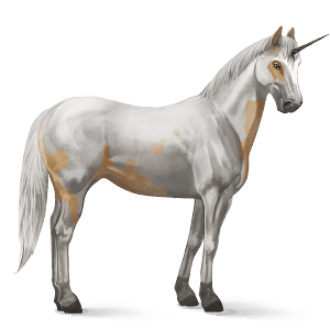 riding unicorn paint horse palomino tovero