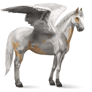 riding pegasus paint horse chestnut tovero 