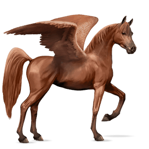 riding pegasus tennessee walker bay