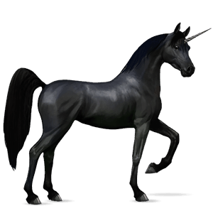 riding unicorn irish hunter liver chestnut