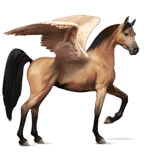 riding pegasus shagya arabian fleabitten grey