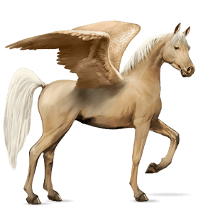 riding pegasus arabian horse chestnut