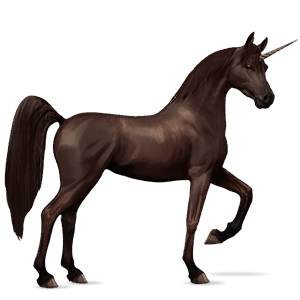 riding unicorn arabian horse cherry bay