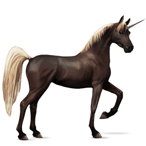 riding unicorn dark bay