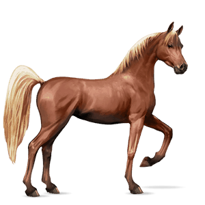 riding horse mouse grey