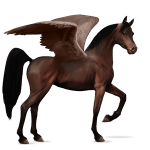 riding pegasus thoroughbred dark bay