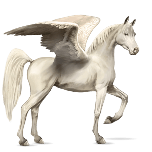 riding pegasus shagya arabian light grey