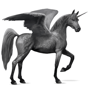 winged riding unicorn arabian horse mouse grey