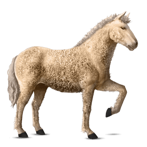 riding horse finnish flaxen liver chestnut 