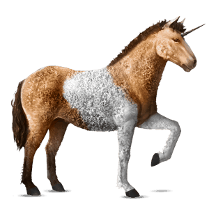 riding unicorn argentinean criollo cherry bay