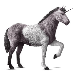 riding unicorn dapple grey tobiano