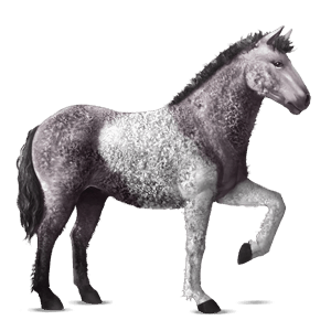 riding horse curly mouse grey tobiano