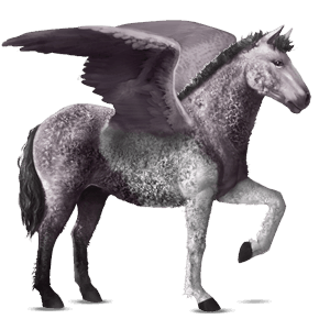 riding pegasus curly mouse grey tobiano