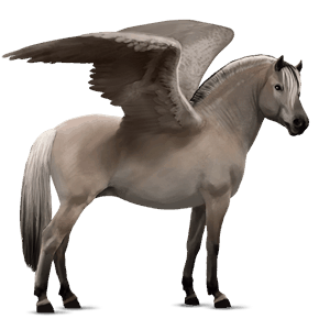 pegasus pony gulblakk