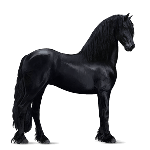 riding horse hanoverian light grey