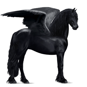 riding pegasus purebred spanish horse dapple grey