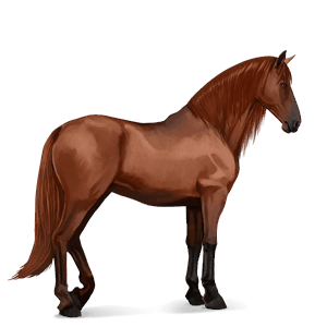 riding horse paint horse liver chestnut tobiano