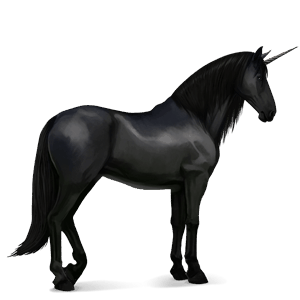riding unicorn purebred spanish horse black