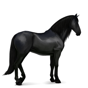 riding horse paint horse dapple grey tobiano
