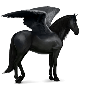 riding pegasus hanoverian dapple grey