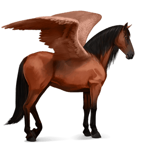 riding pegasus friesian black