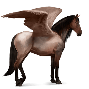 riding pegasus hanoverian dark bay