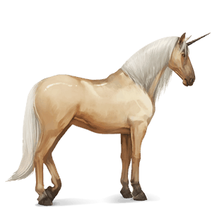 riding unicorn lipizzan light grey