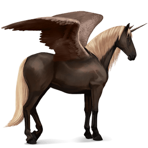 winged riding unicorn purebred spanish horse dark bay