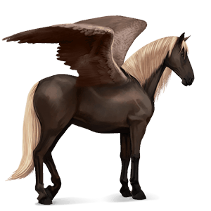 riding pegasus hanoverian dark bay