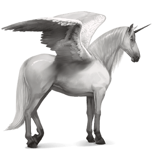 winged riding unicorn paint horse black tovero