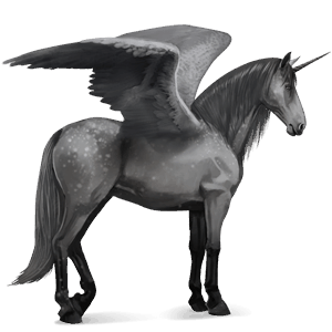 winged riding unicorn purebred spanish horse dapple grey