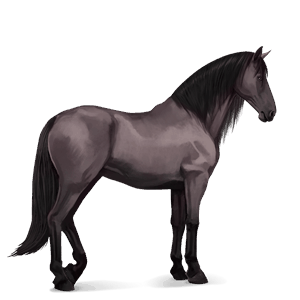 riding horse thoroughbred flaxen liver chestnut 