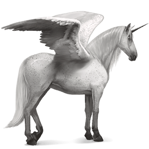 winged riding unicorn lipizzan fleabitten grey