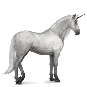 riding unicorn purebred spanish horse light grey