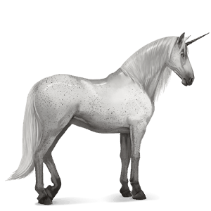 riding unicorn lipizzan light grey