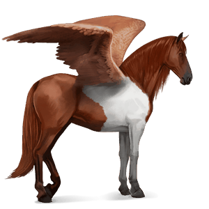 riding pegasus hanoverian liver chestnut
