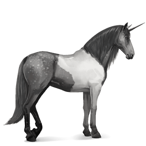 riding unicorn paint horse dapple grey tobiano