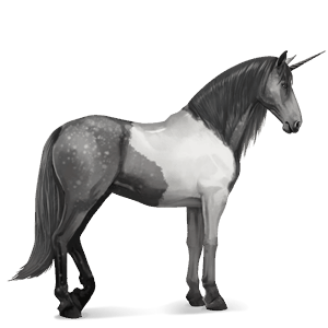 riding unicorn paint horse dark bay tobiano