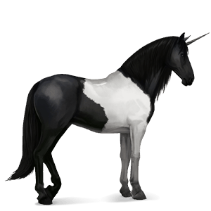 riding unicorn black tovero
