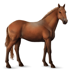 riding horse bay