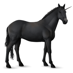 riding unicorn knabstrupper black