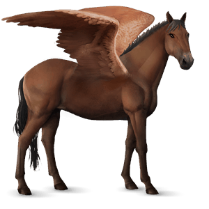 riding pegasus holsteiner bay
