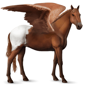 riding pegasus appaloosa chestnut spotted blanket 