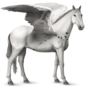 riding pegasus knabstrupper roan