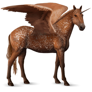 winged riding unicorn knabstrupper chestnut leopard 