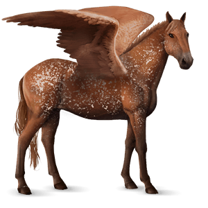 riding pegasus knabstrupper bay