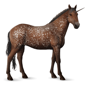 riding unicorn knabstrupper bay snowflake 