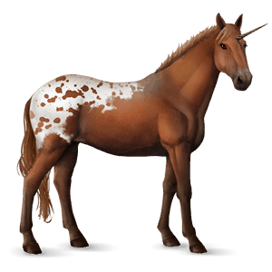 riding unicorn chestnut spotted blanket 