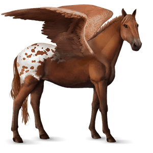 riding pegasus knabstrupper chestnut blanket 