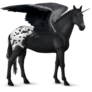 winged riding unicorn paint horse black tovero